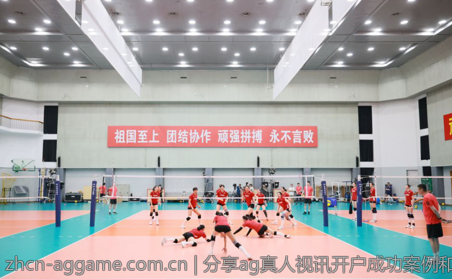 分享ag真人视讯开户成功案例和经验教训