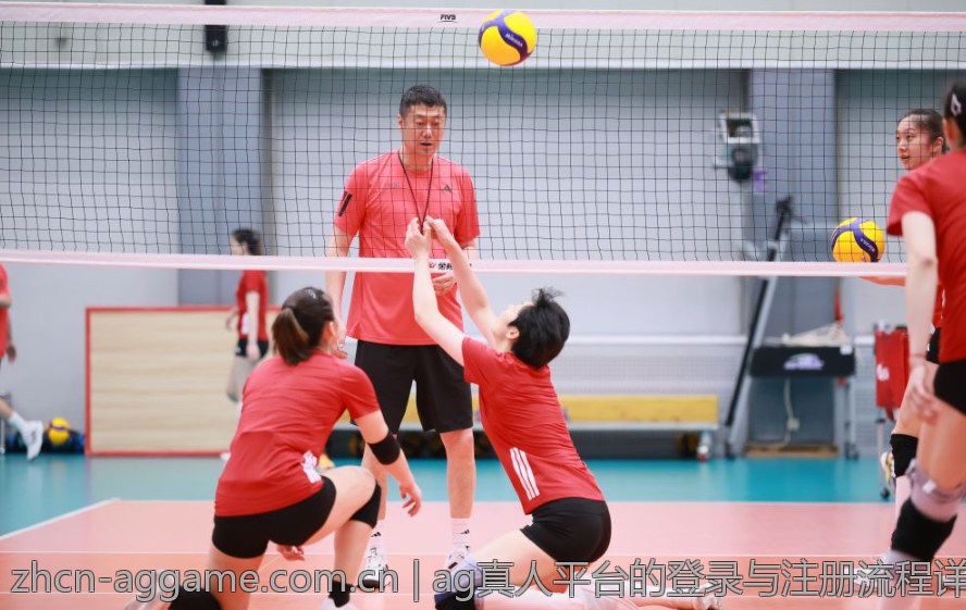 ag真人平台的登录与注册流程详解