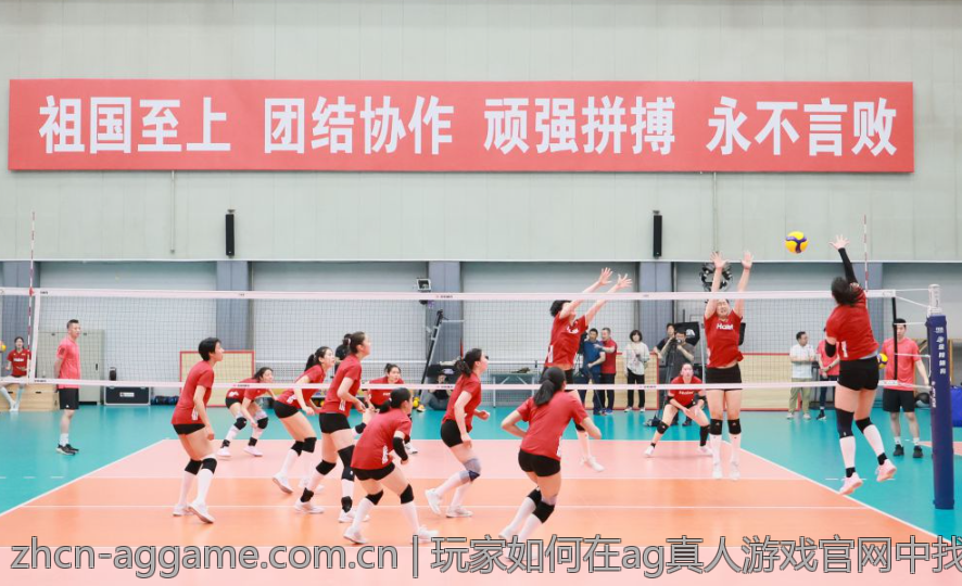 玩家如何在ag真人游戏官网中找到乐趣
